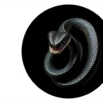 texas serpiente ciega simbolismo y significado